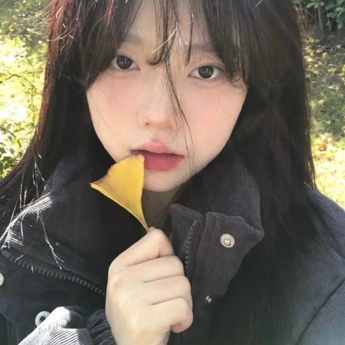 月季花开